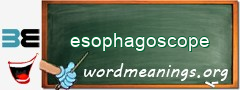 WordMeaning blackboard for esophagoscope